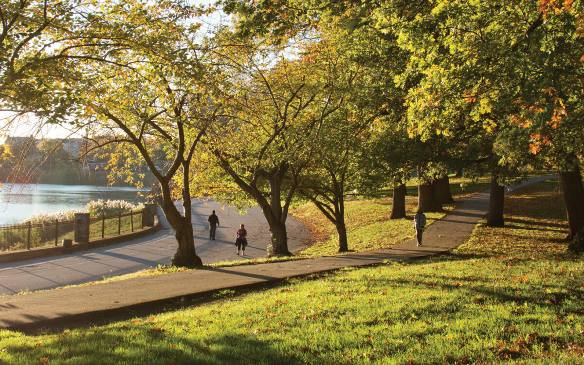 People walking in Druid Hill Park.
