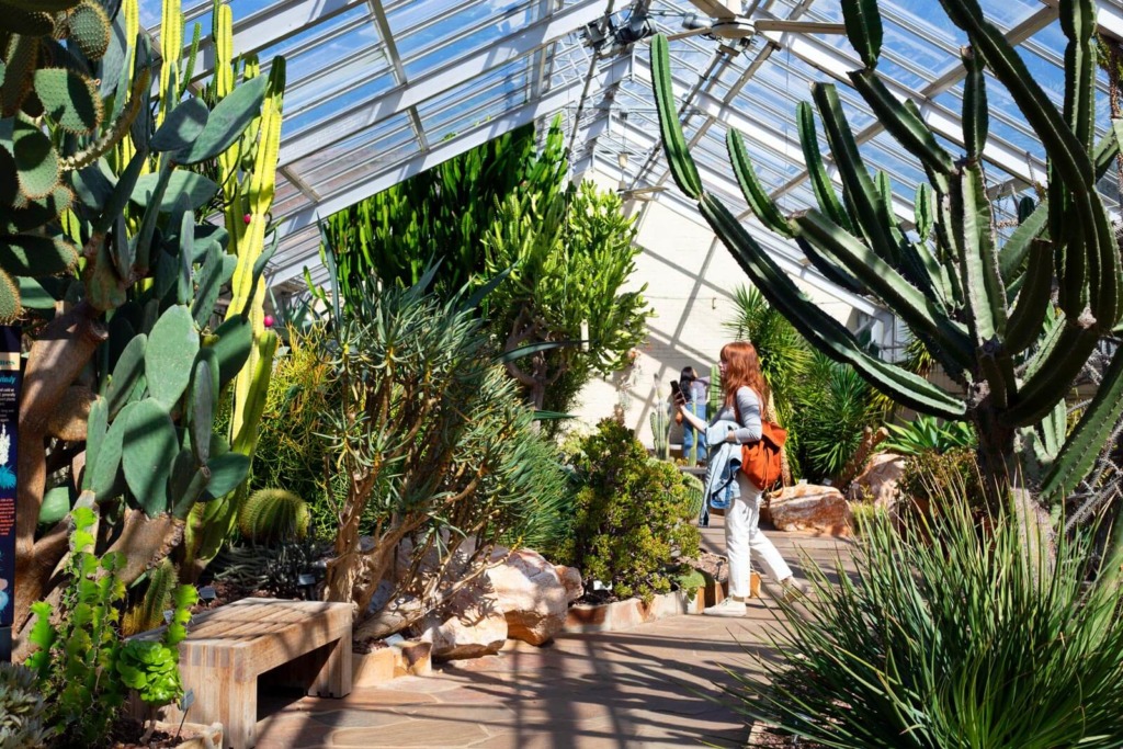 Cactus garden from afar inside of The Rawlings Conservatory in Baltimore.