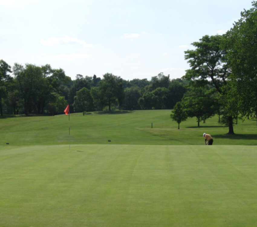 Lush green at Carroll Park Golf Course