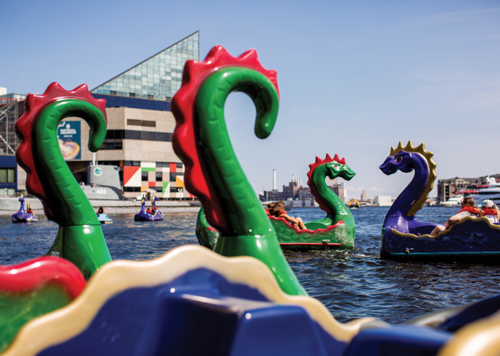 Chessie Paddle Boats in the Inner Harbor