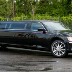 American Limousines, Inc.