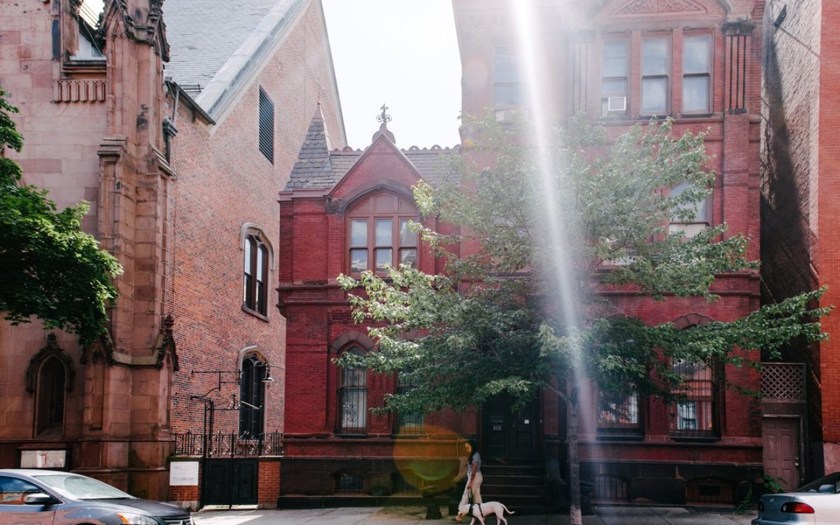 Woman walks her dog in Mount Vernon