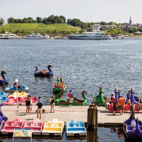 Dragon boats on the water in the Inner Harbor in Baltimore.