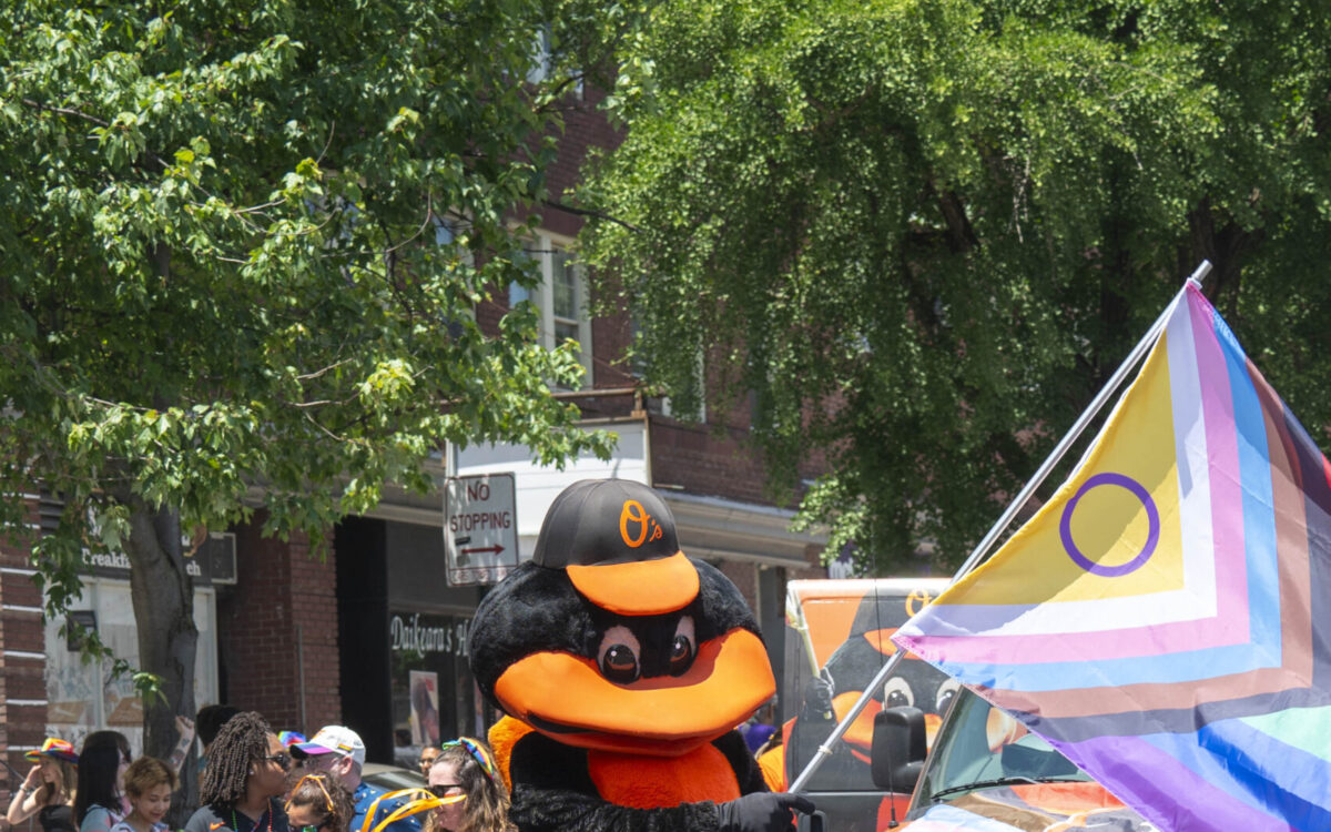 The oriole bird mascot waves a pride flag