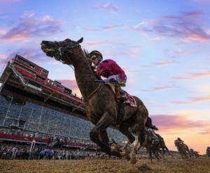 Jockey rides a horse across the finish line