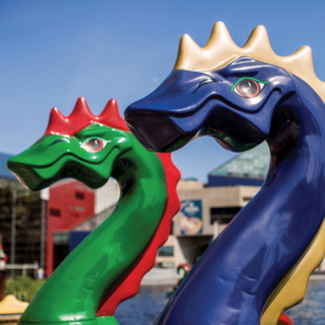 Chessie Paddle Boats in the Inner Harbor